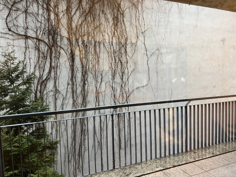 Apartament, 4 camere Bucuresti/Dorobanti