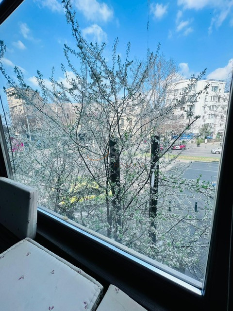 Apartament, 4 camere Bucuresti/Victoriei