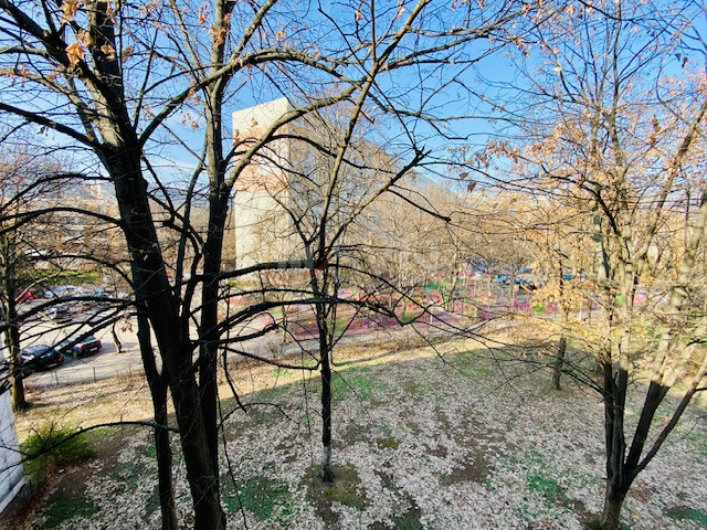 Apartament, 4 camere Bucuresti/Titan