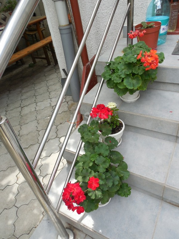 Apartament, 4 camere Bucuresti/Primaverii