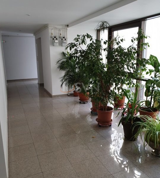 Apartament, 4 camere Bucuresti/Herastrau