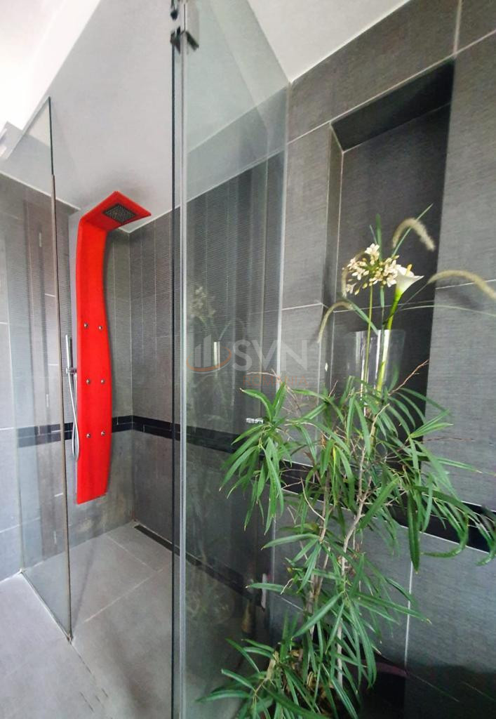 Apartament, 5 camere Bucuresti/Pache Protopopescu