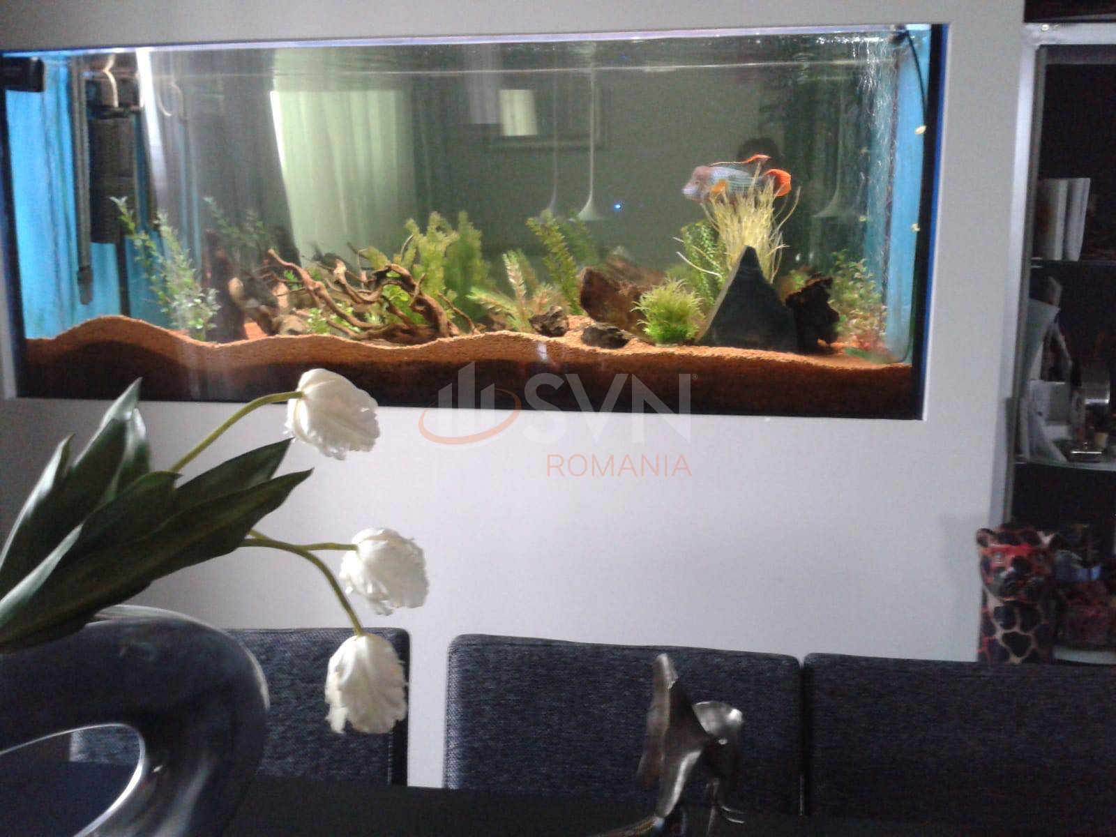 Apartament, 5 camere Bucuresti/Iancului