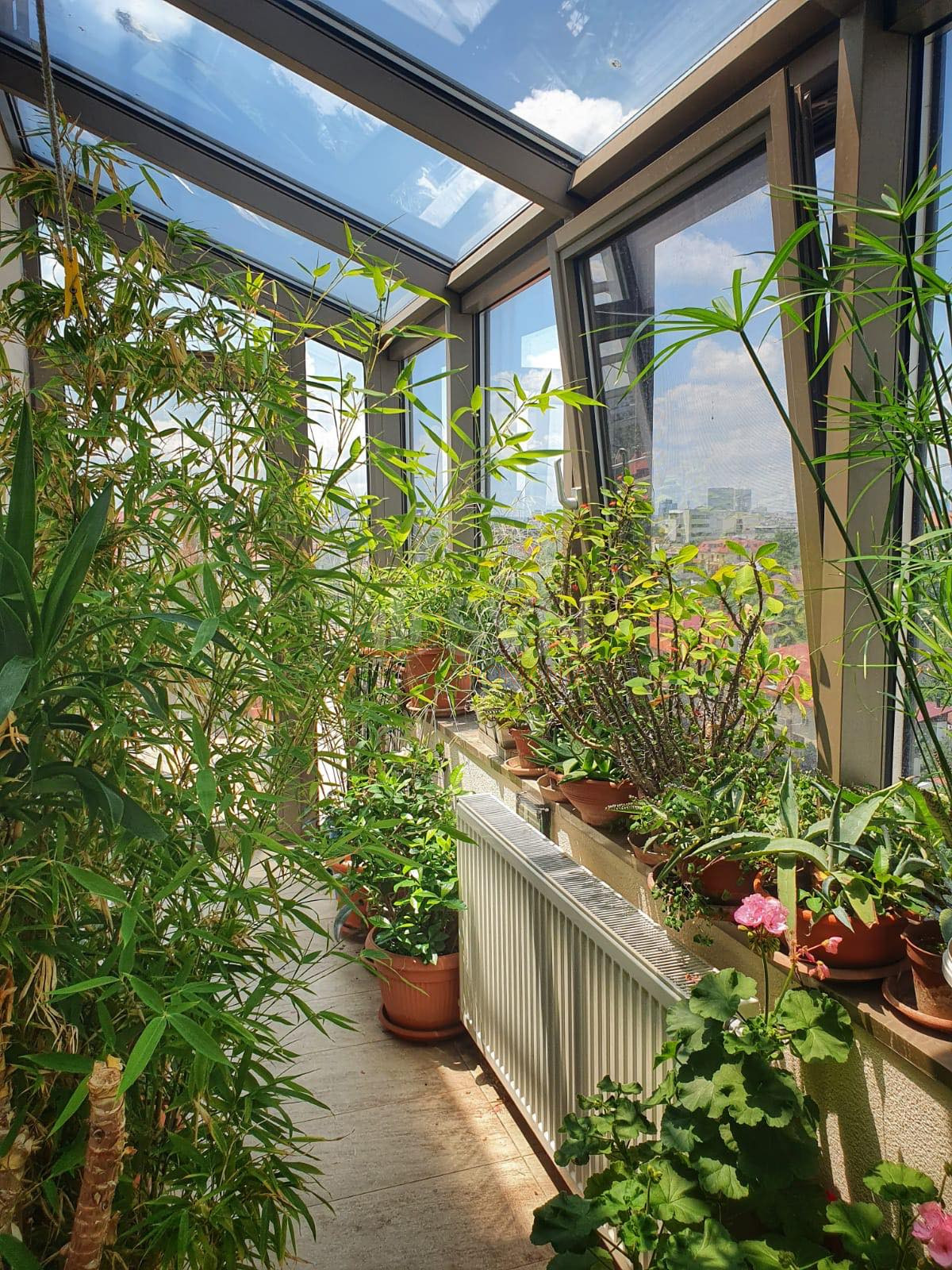 Apartament, 5 camere Bucuresti/Iancului