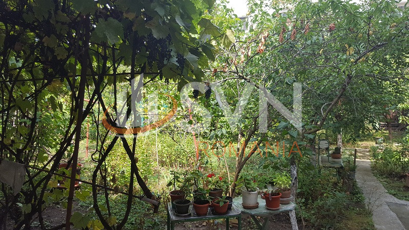 Casa, 1 camera Maramures/Centru