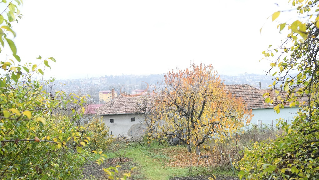 Casa, 10 camere Cluj/Dambul Rotund