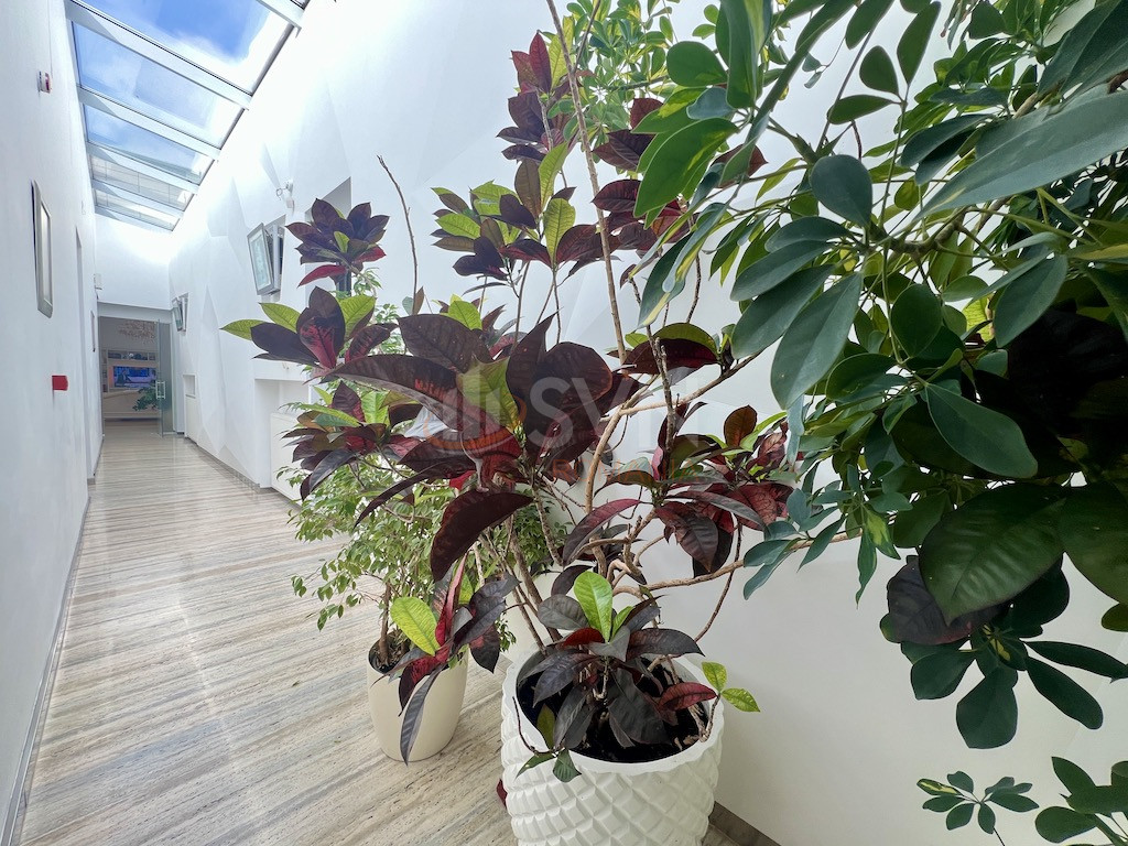 Casa, 10 camere Ilfov/Balotesti