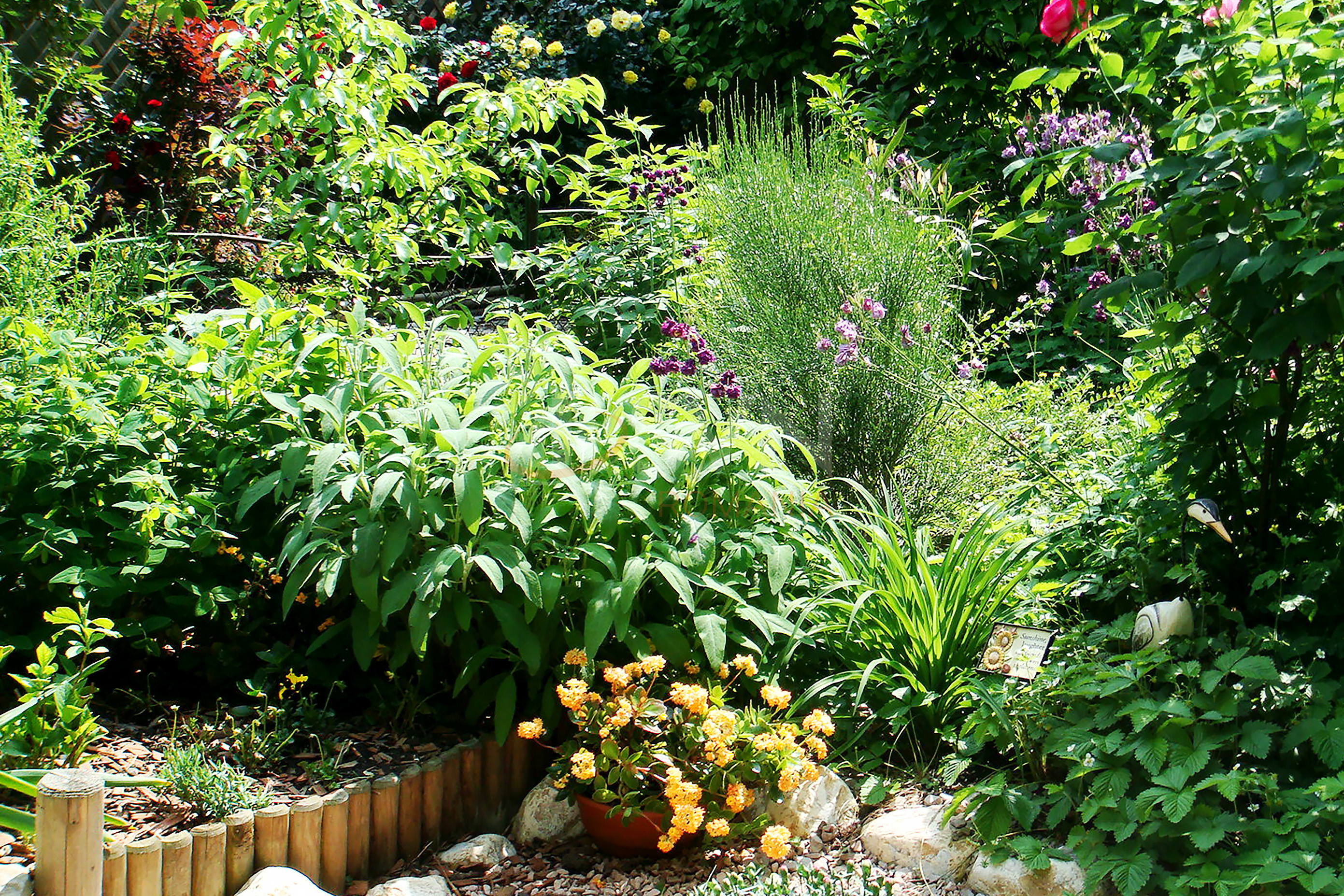 Casa, 10 camere Bucuresti/Calea Victoriei