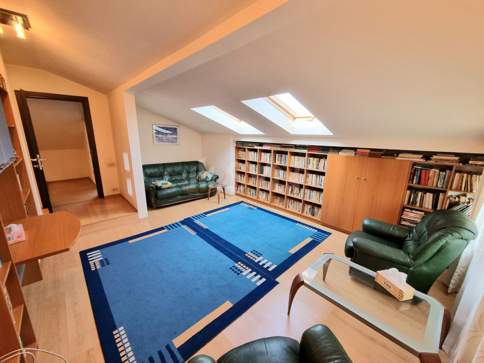 Casa, 10 camere Bucuresti/Baneasa