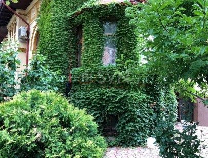 Casa, 11 camere Bucuresti/Unirii (s3)