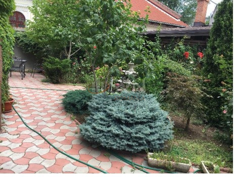 Casa, 11 camere Bucuresti/Unirii (s3)