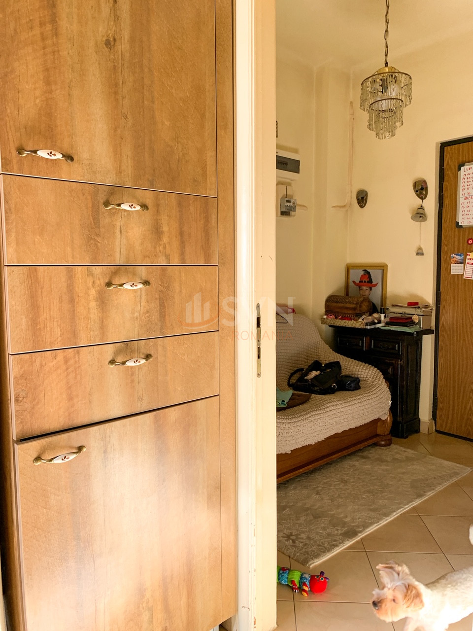 Casa, 13 camere Bucuresti/Timpuri Noi