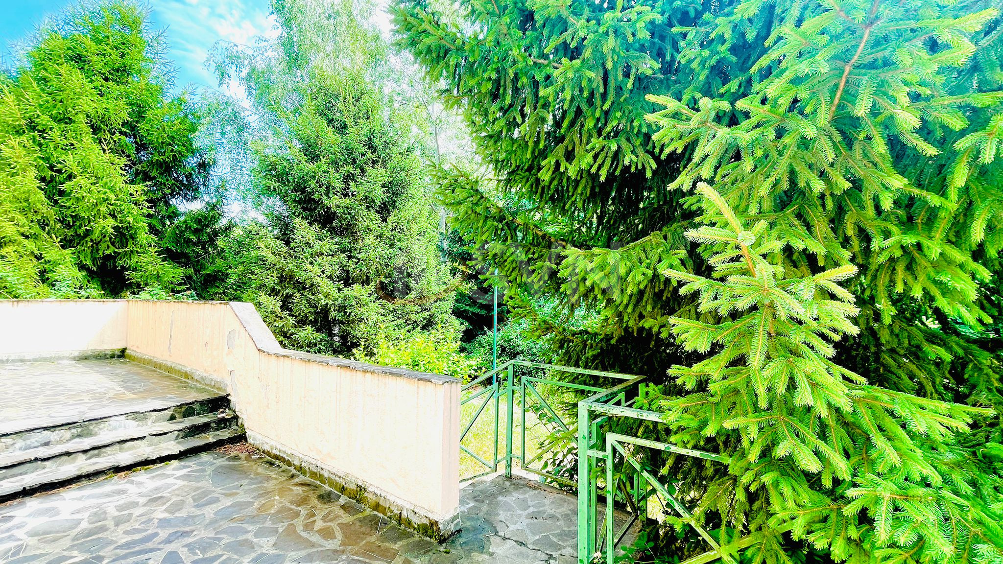 Casa, 15 camere Ilfov/Mogosoaia