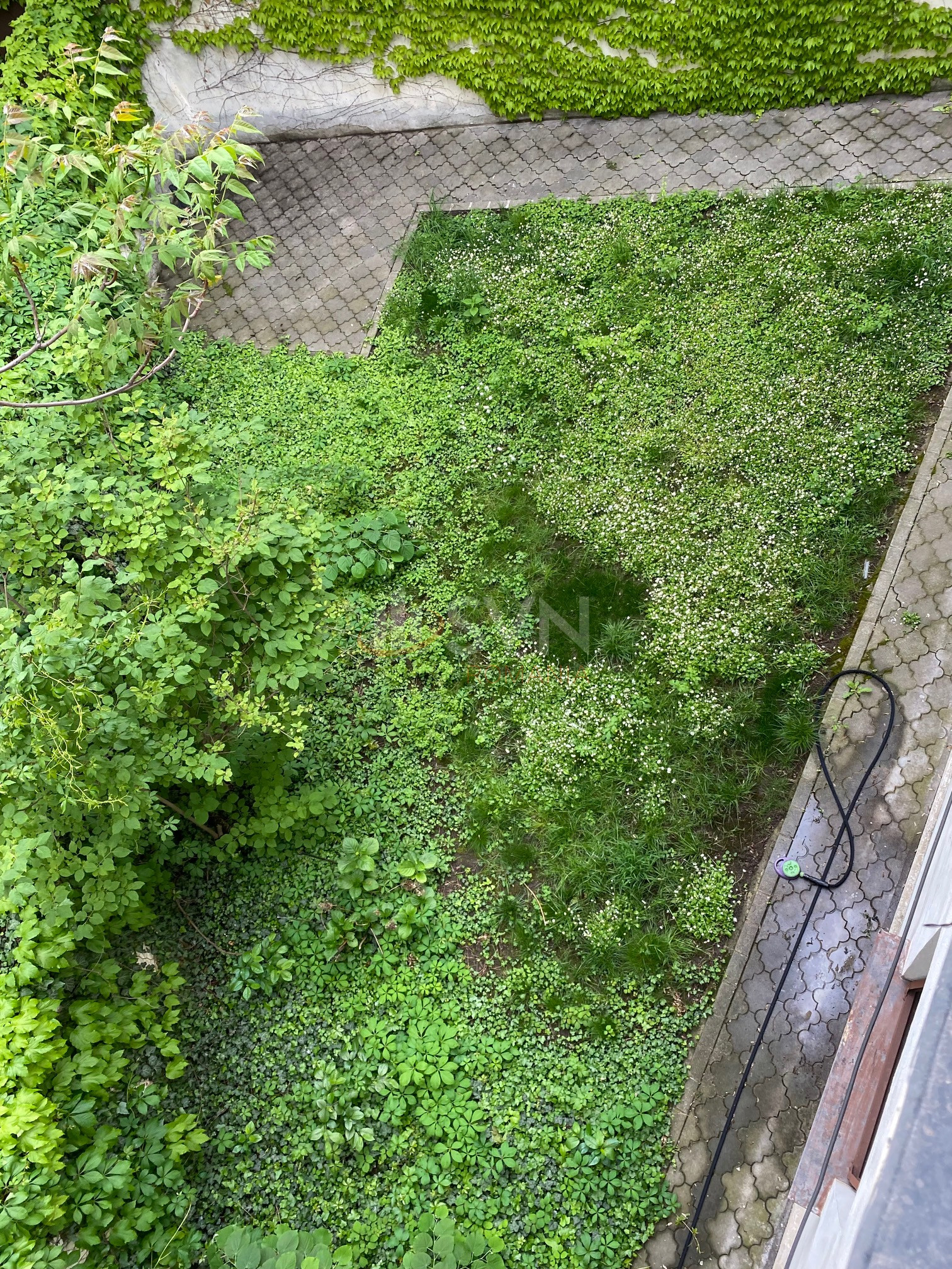 Casa, 15 camere Bucuresti/Armeneasca