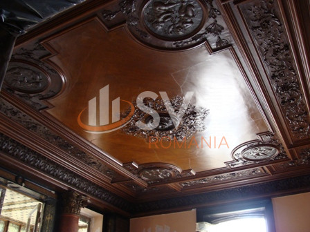 Casa, 18 camere Bucuresti/Romana