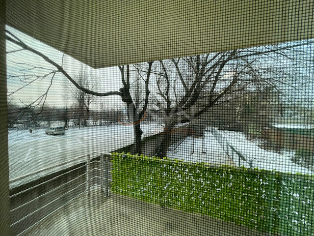 Casa, 18 camere Bucuresti/Baneasa