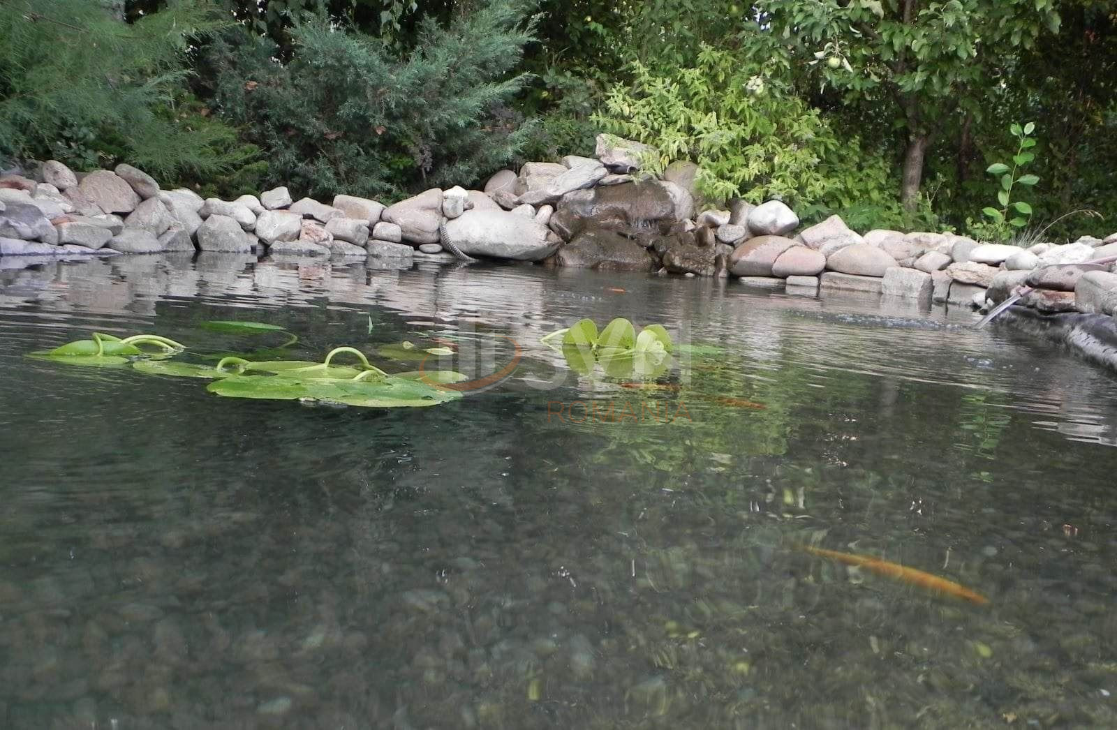 Casa, 2 camere Ilfov/Corbeanca