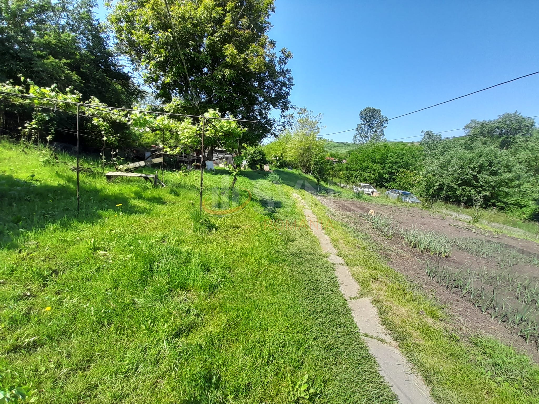 Casa, 2 camere Cluj/Centru