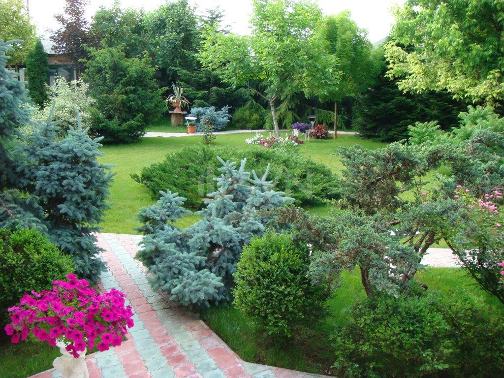 Casa, 22 camere Ilfov/Otopeni