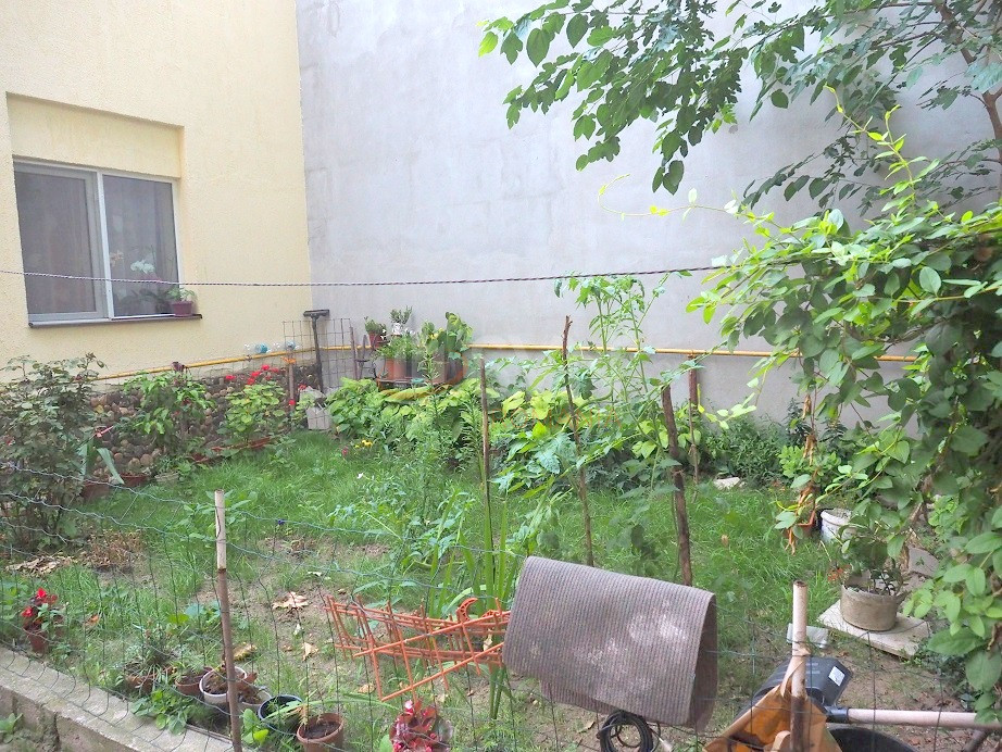 Casa, 3 camere Bucuresti/Timpuri Noi