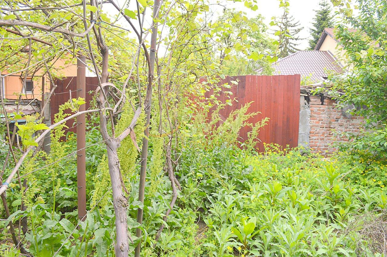 Casa, 3 camere Bucuresti/Bucurestii Noi