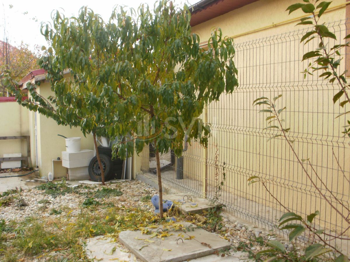 Casa, 3 camere Ilfov/Chitila