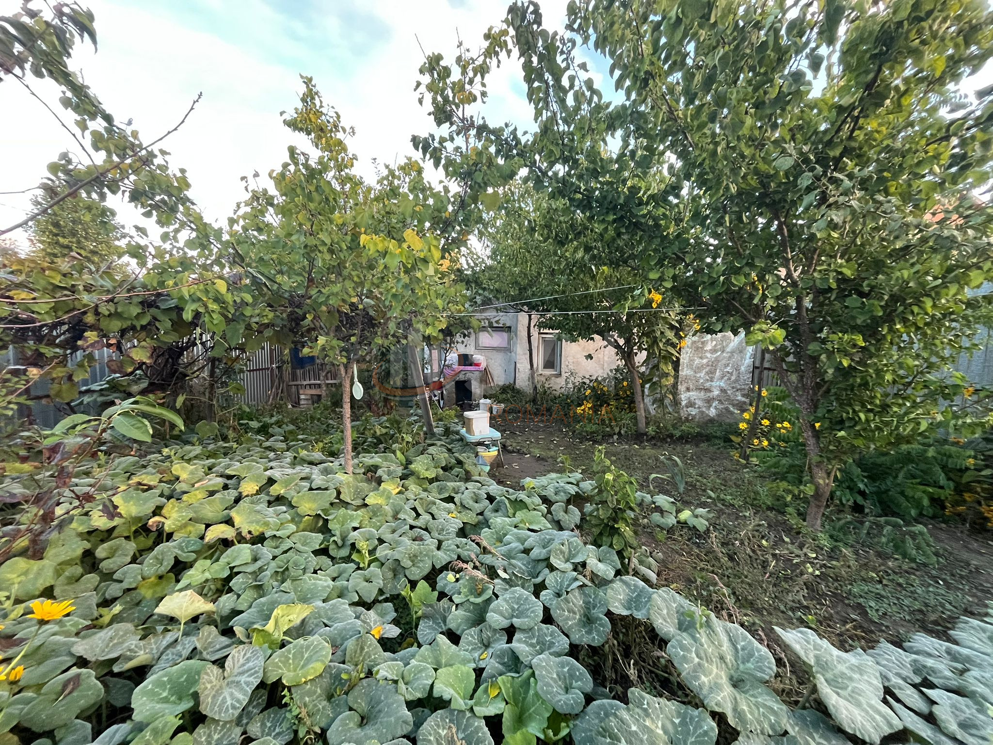 Casa, 3 camere Dambovita/Est