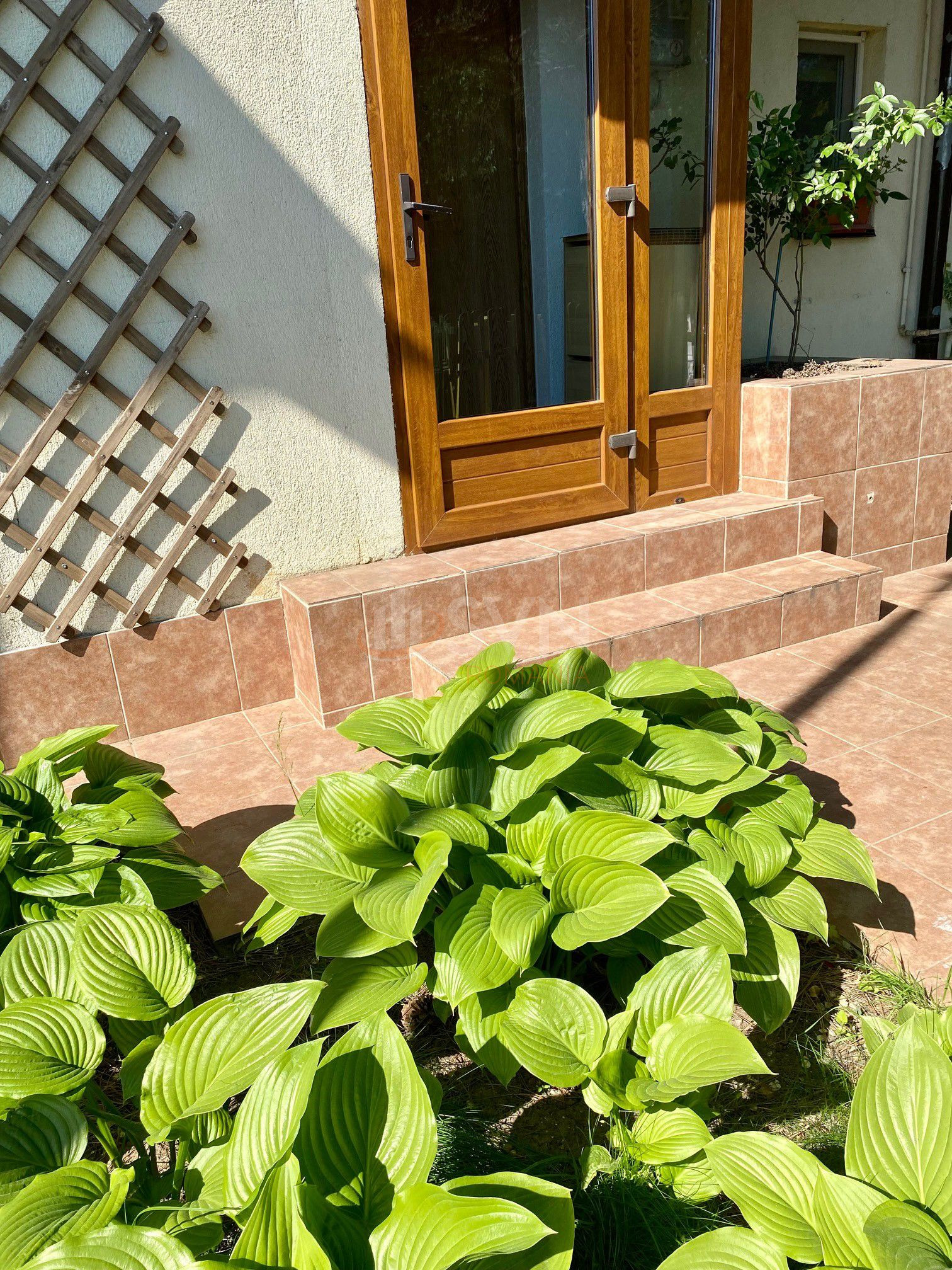 Casa, 3 camere Bucuresti/Pipera