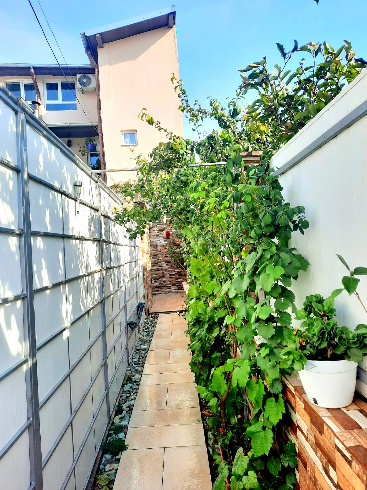 Casa, 3 camere Bucuresti/Chitila