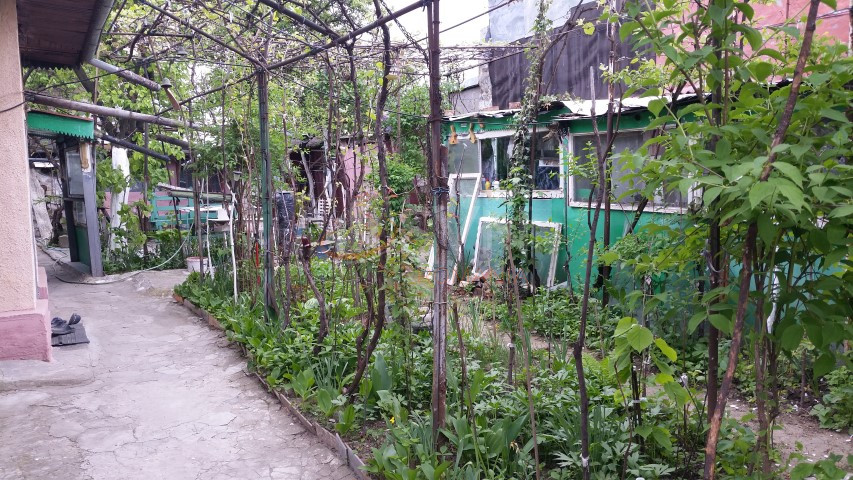 Casa, 3 camere Bucuresti/Chitila