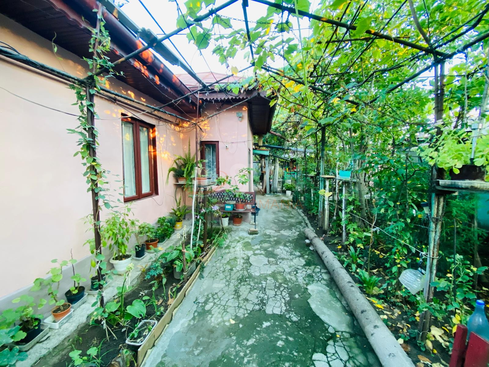 Casa, 3 camere Bucuresti/Chitila