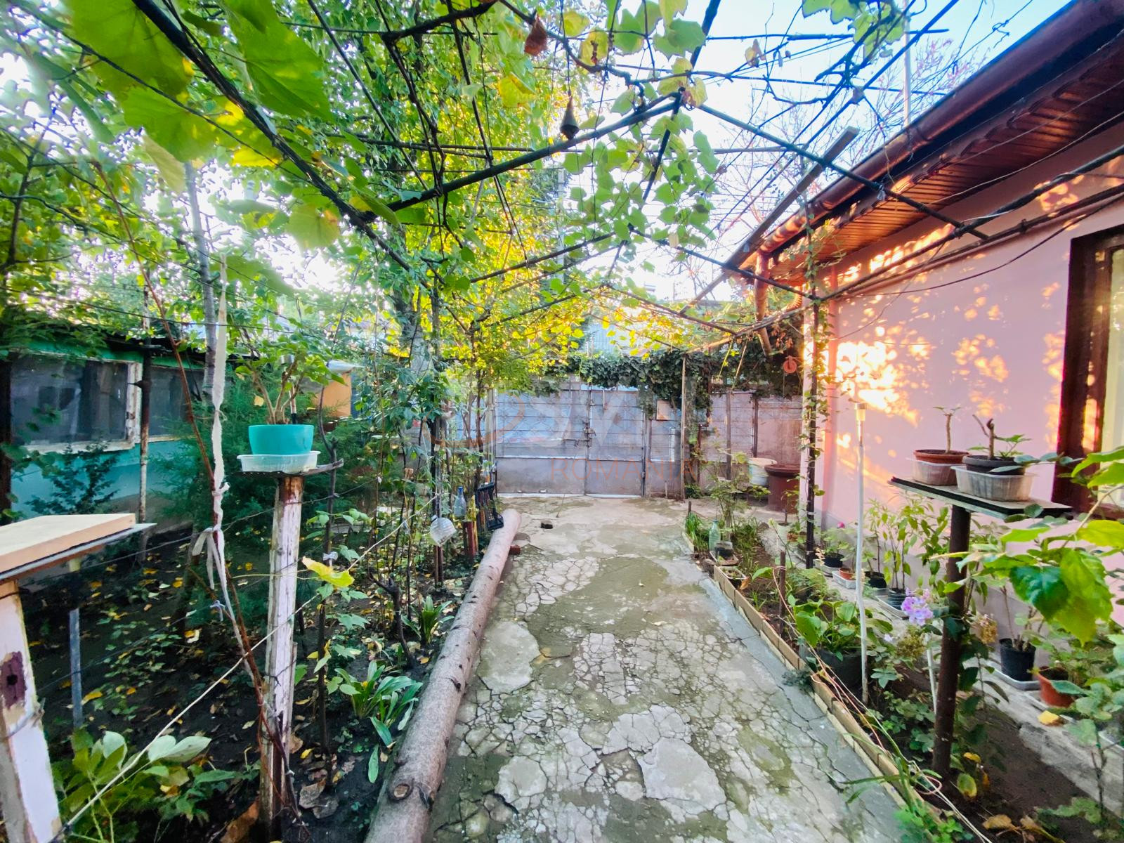 Casa, 3 camere Bucuresti/Chitila