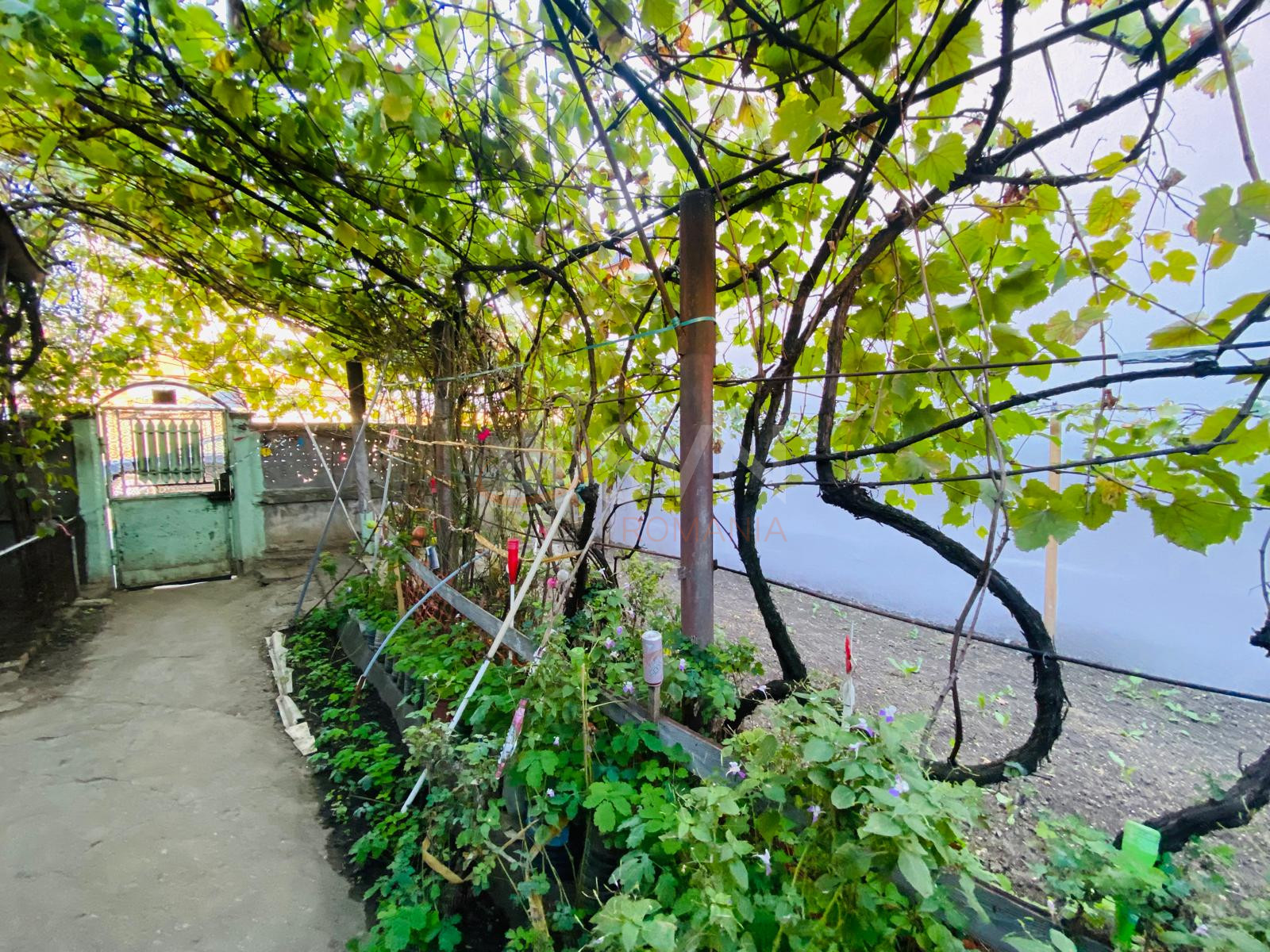 Casa, 3 camere Bucuresti/Chitila