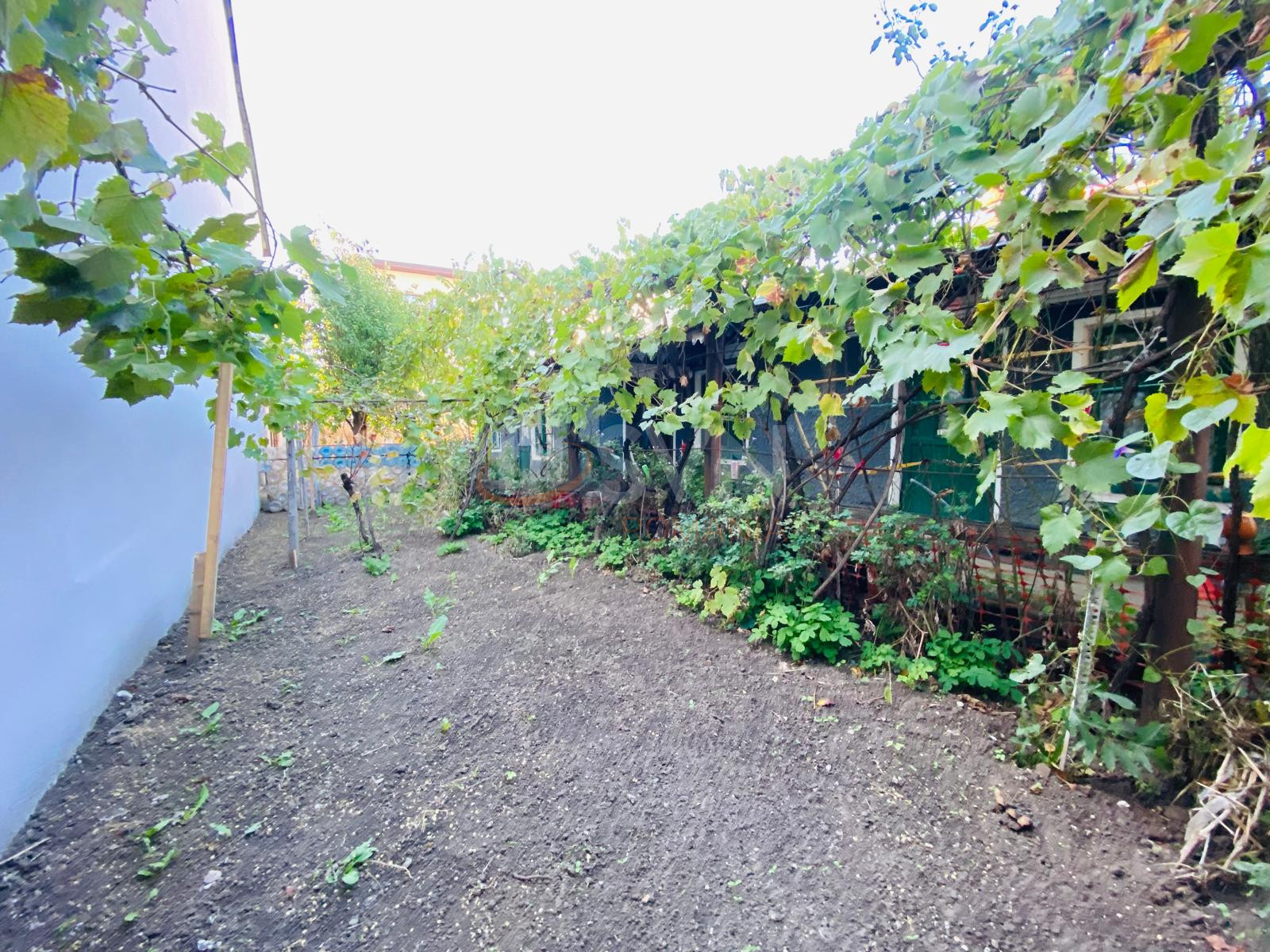 Casa, 3 camere Bucuresti/Chitila