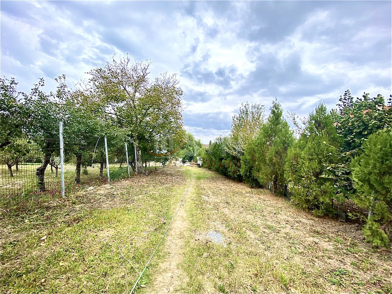 Casa, 4 camere Ilfov/Snagov