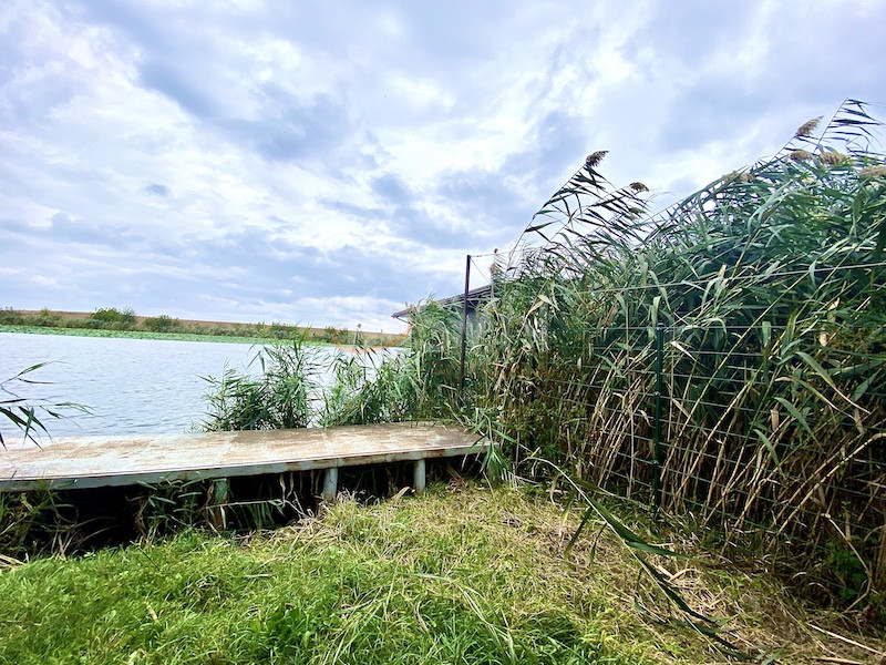 Casa, 4 camere Ilfov/Snagov