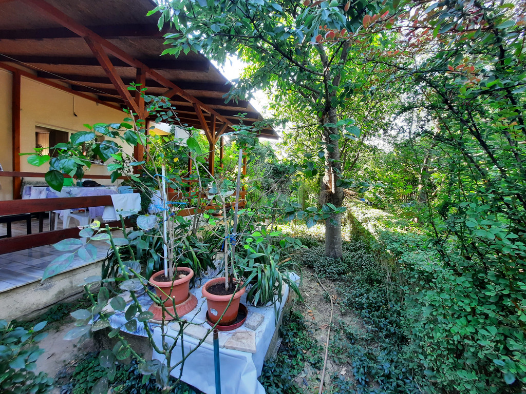 Casa, 4 camere Ilfov/Pantelimon