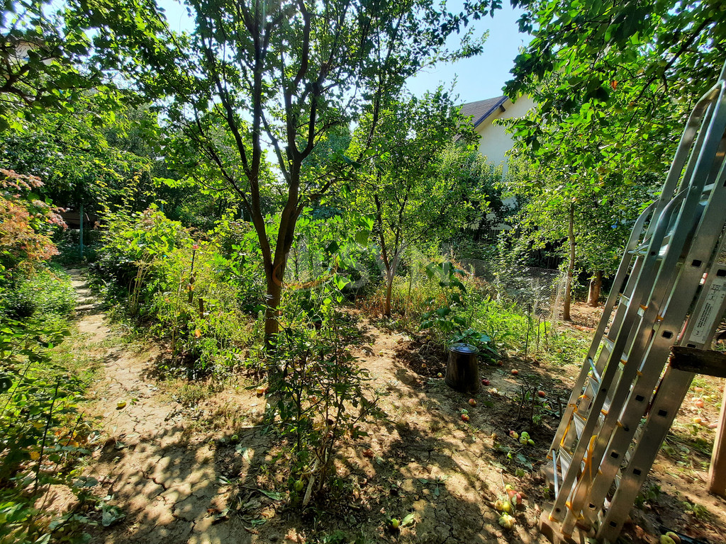 Casa, 4 camere Ilfov/Pantelimon