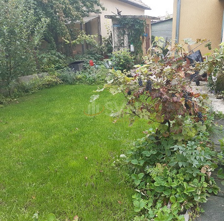 Casa, 4 camere Cluj/Centru