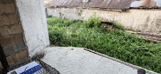 Casa, 4 camere Cluj/Centru