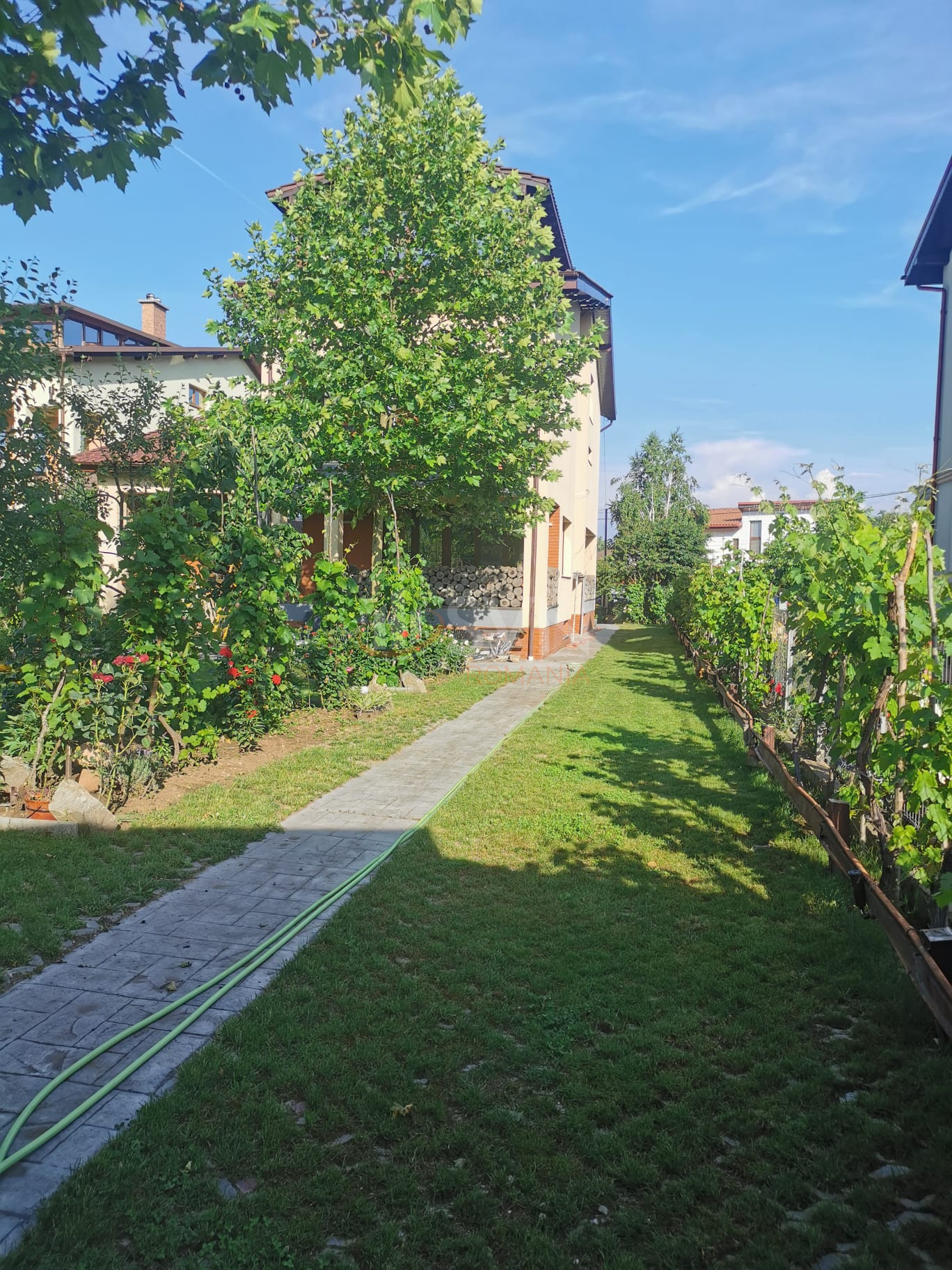 Casa, 4 camere Ilfov/Mogosoaia