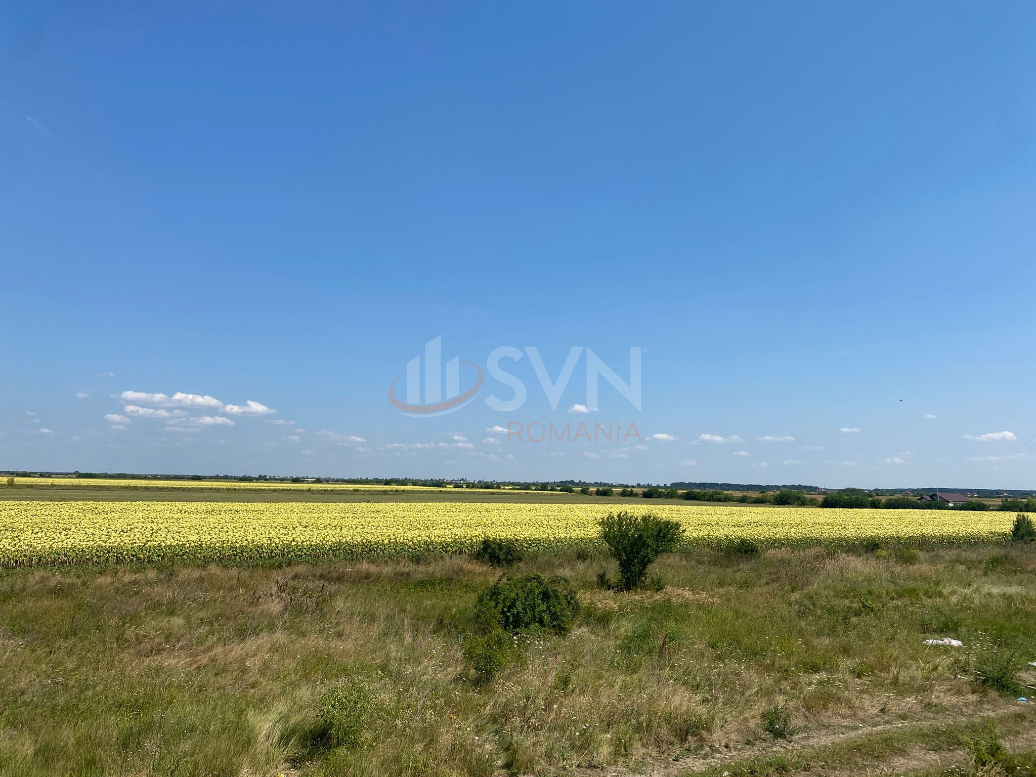 Casa, 4 camere Ilfov/Corbeanca