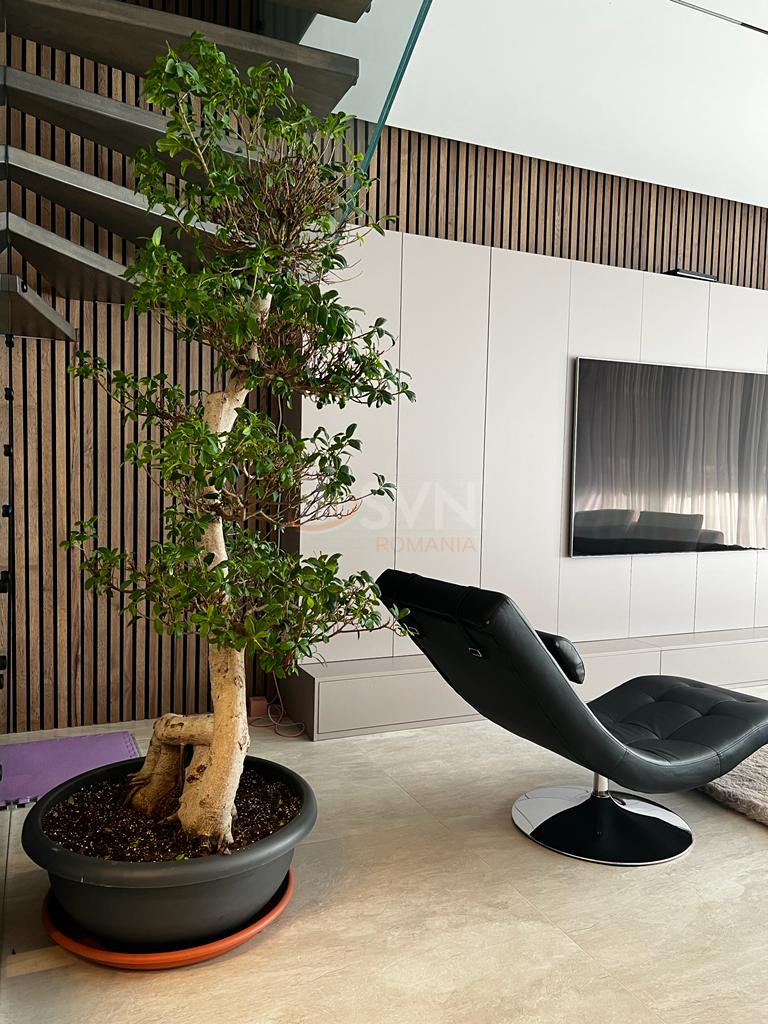 Casa, 4 camere Ilfov/Voluntari