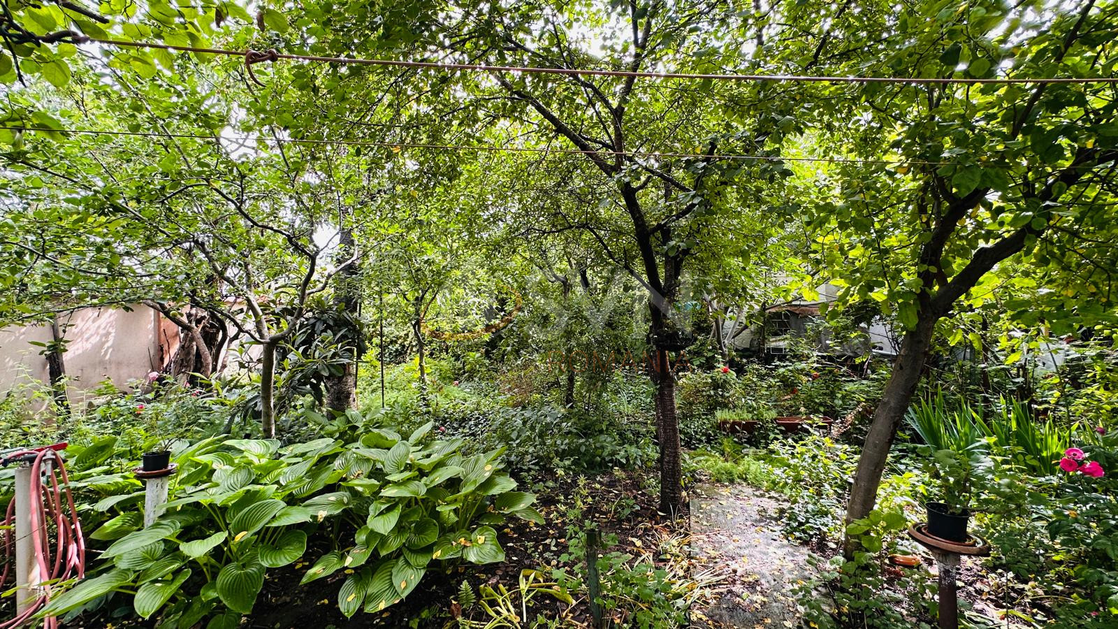 Casa, 4 camere Bucuresti/Progresul