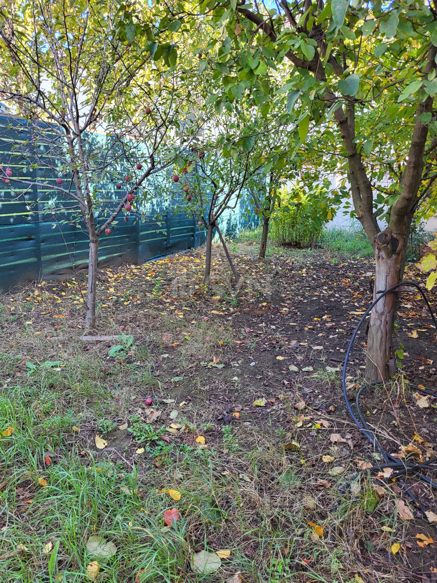 Casa, 4 camere Ilfov/Otopeni