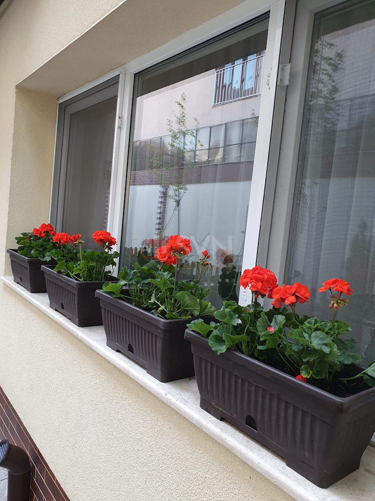 Casa, 4 camere Bucuresti/Bucurestii Noi