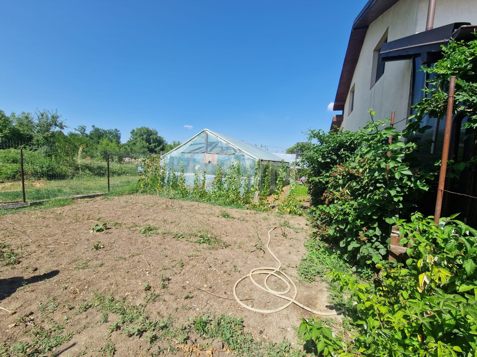 Casa, 4 camere Ilfov/Buftea
