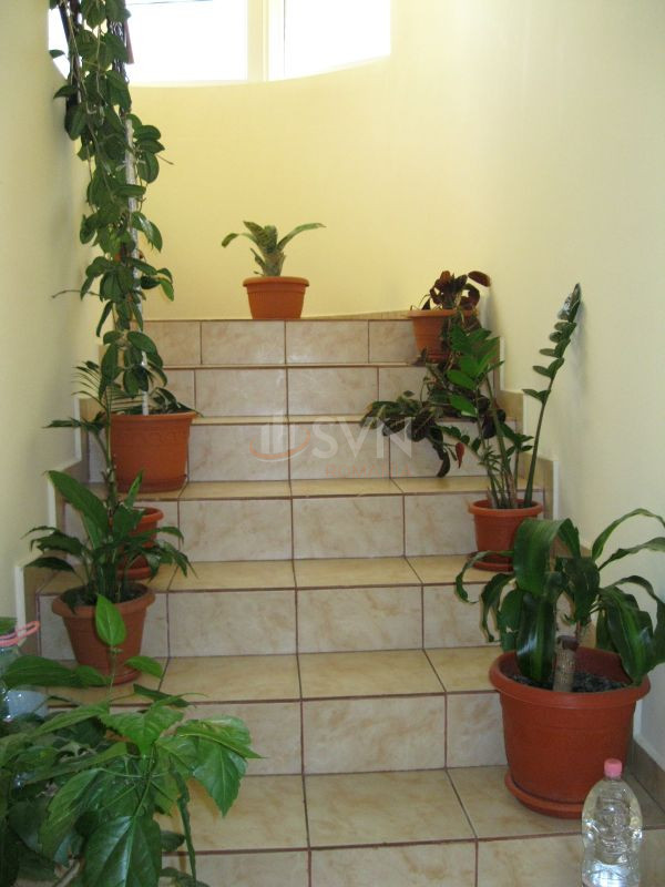 Casa, 4 camere Bucuresti/Aviatiei