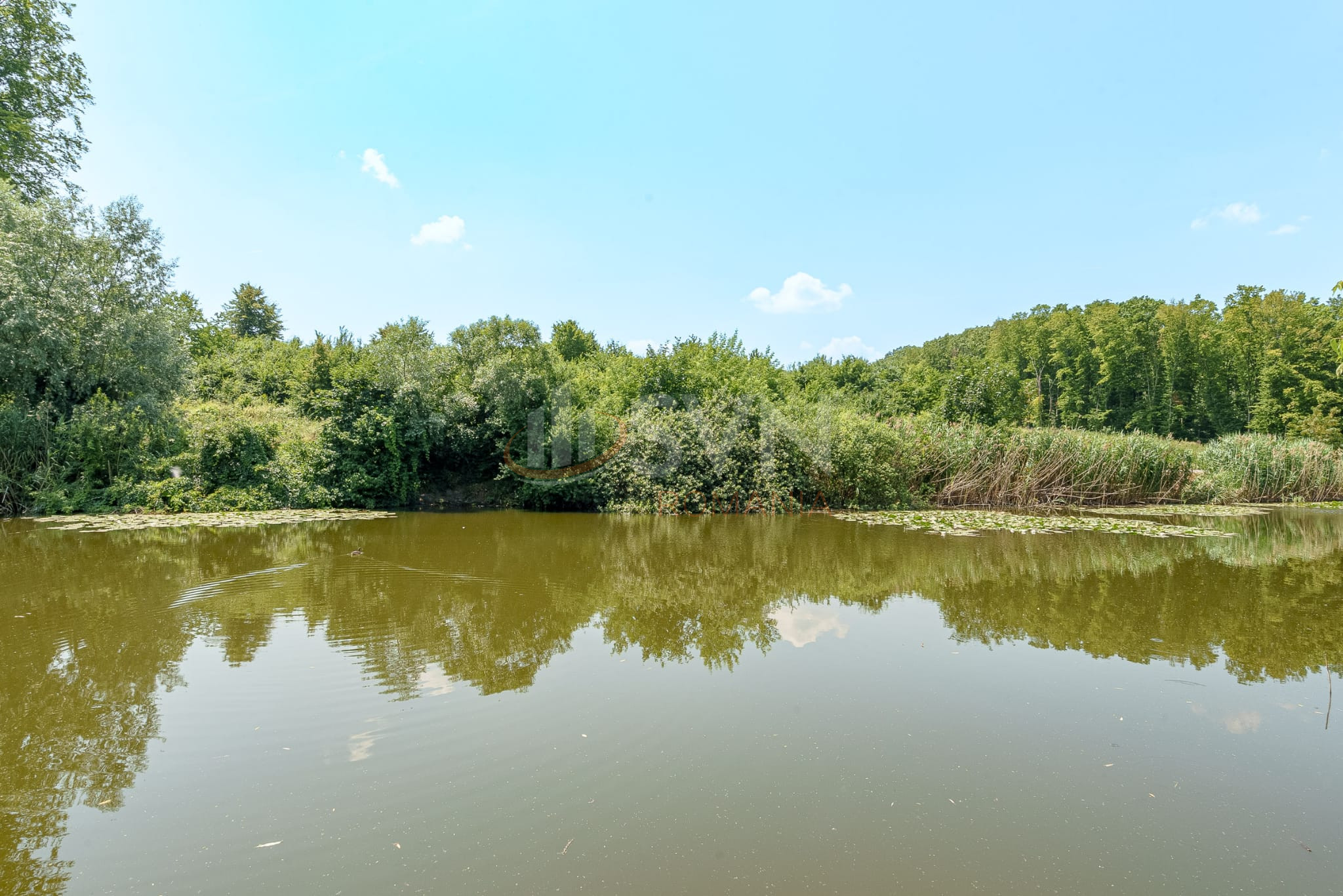 Casa, 4 camere Ilfov/Snagov