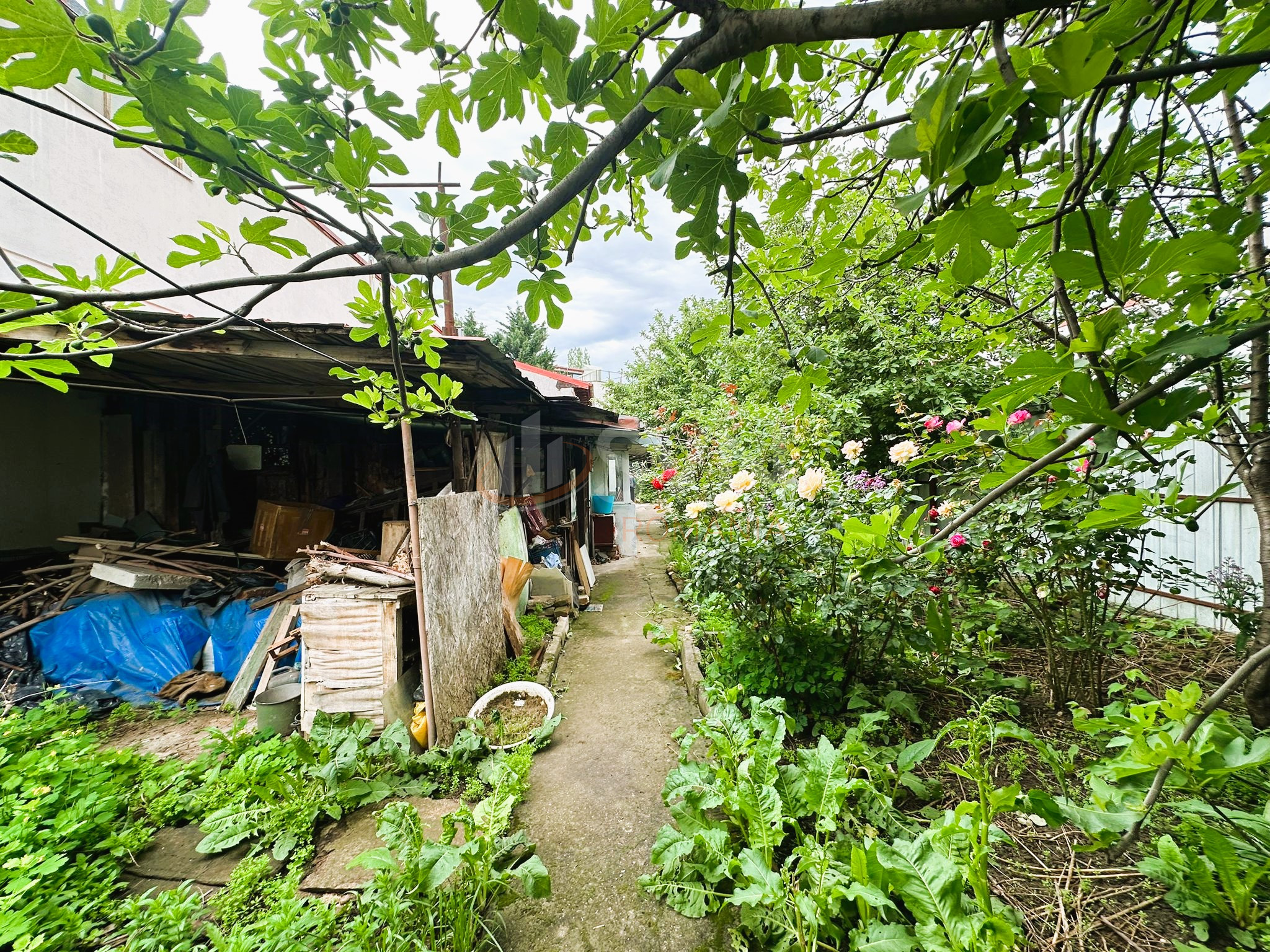 Casa, 4 camere Bucuresti/1 Mai